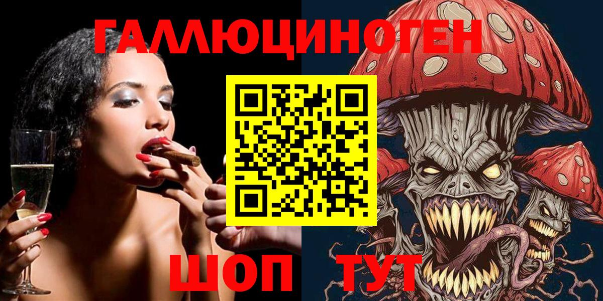 Галлюциногенные грибы Psilocybe Рыбинск